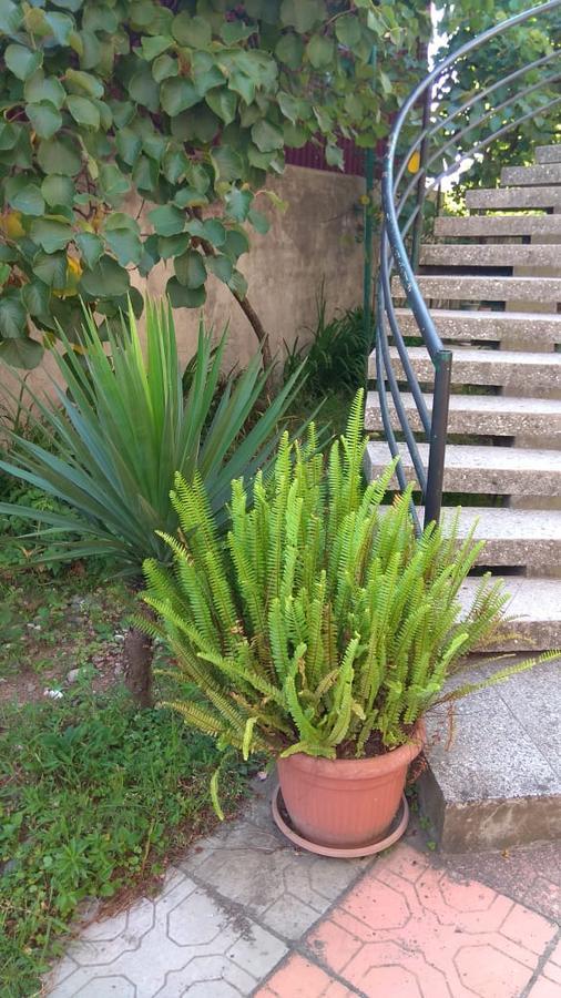 דירה Iren באטומי